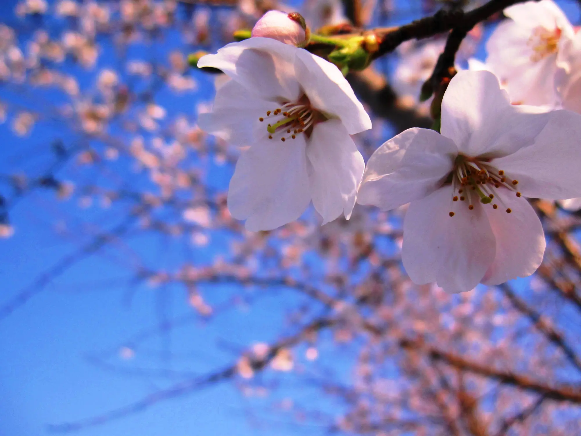 樫の木福祉会 4